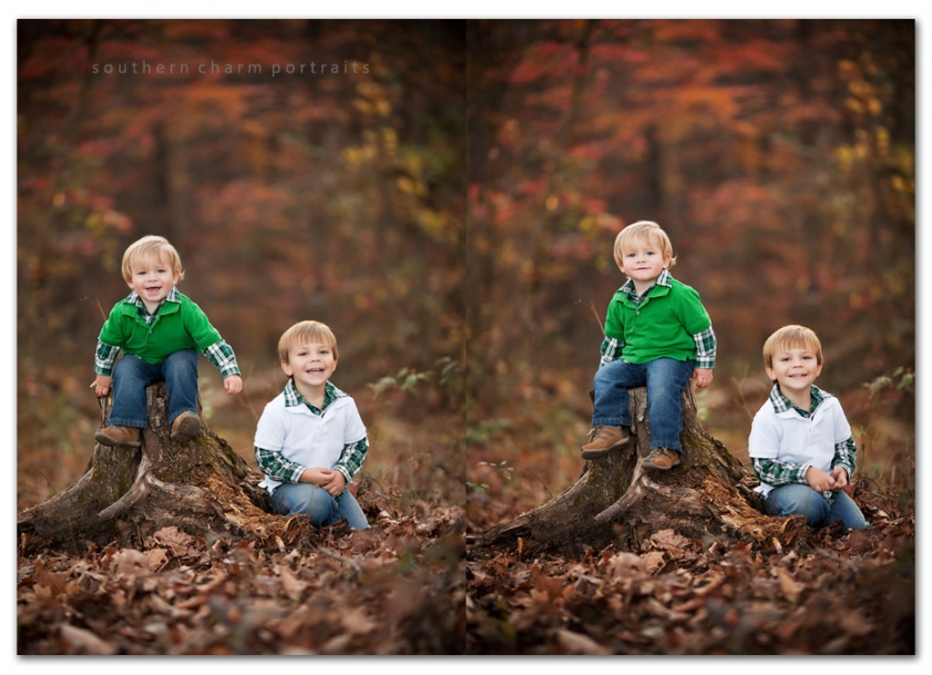 brothers sitting on old tree stump
