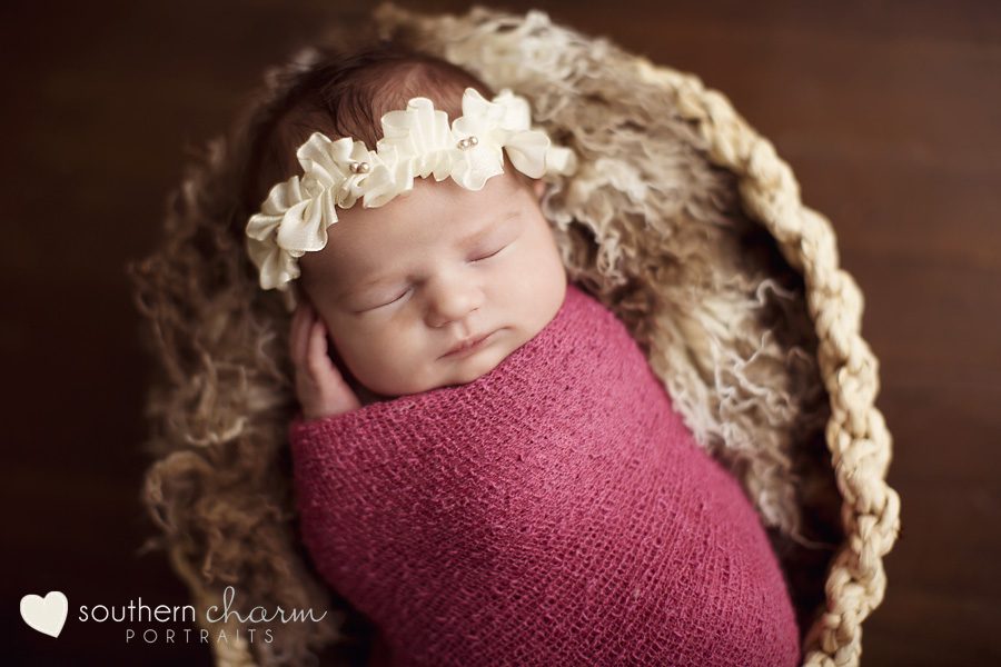 maternity and newborn photographer in knoxville, tn