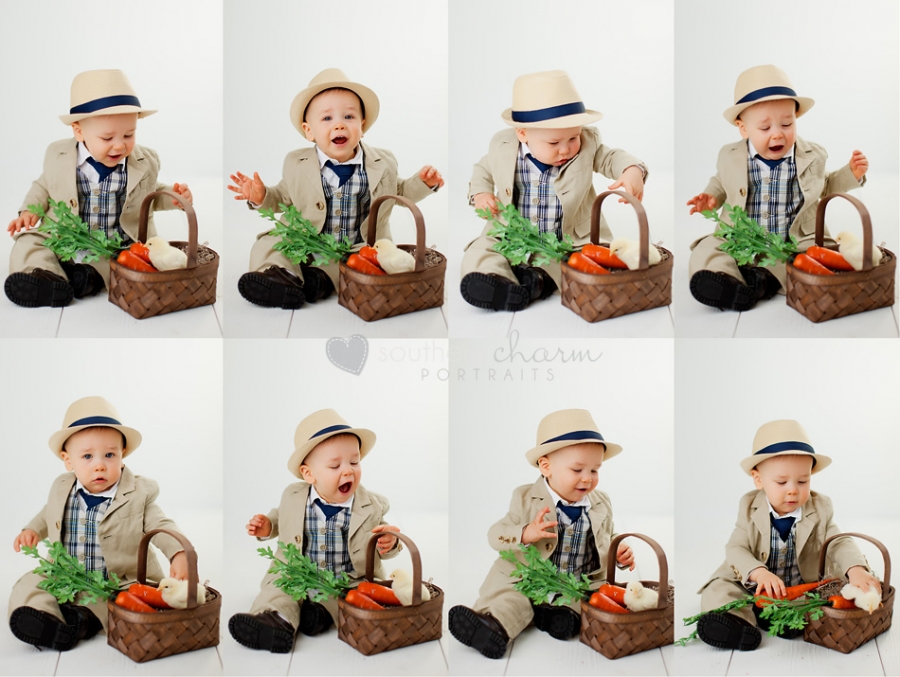 baby photographers in knoxville