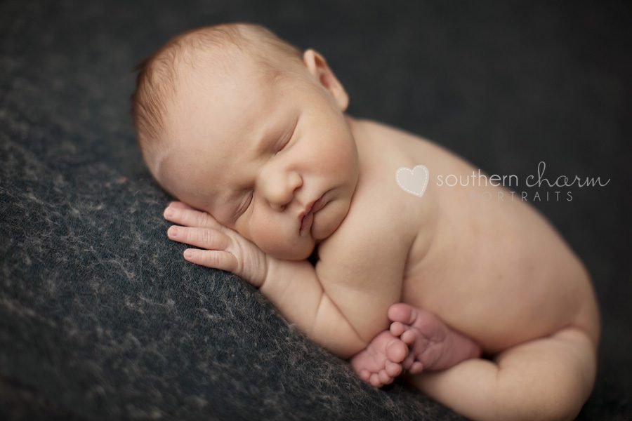 knoxville tn newborn pictures