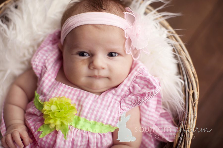 tn baby photographer