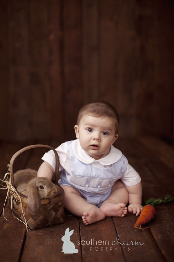 knoxville baby photographer