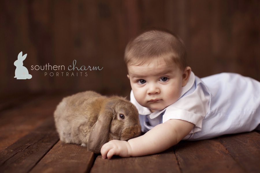 knoxville tn portraits for babies