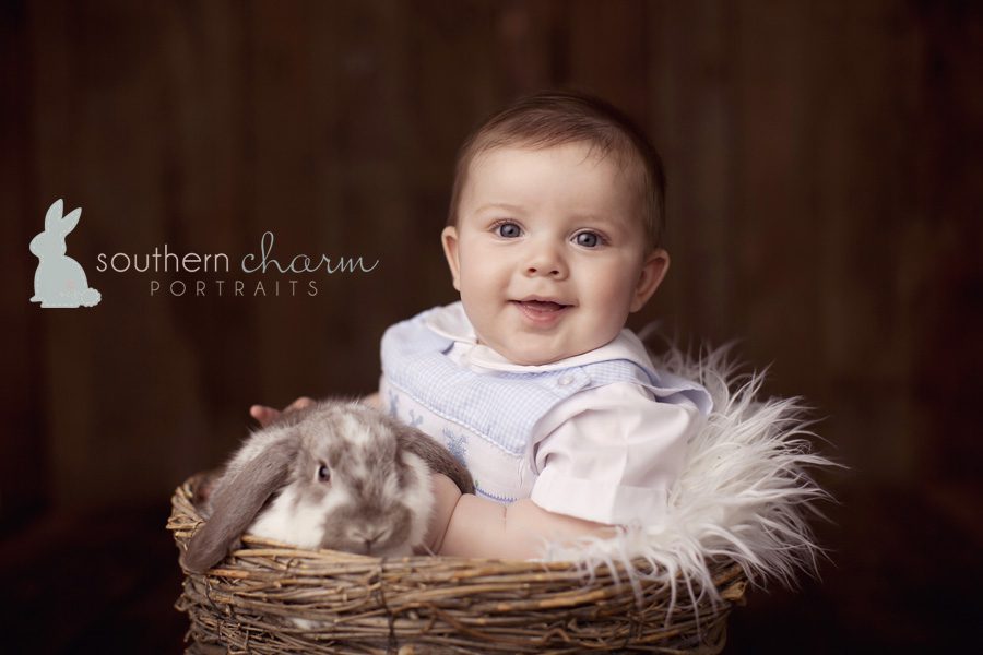 tn baby photographer