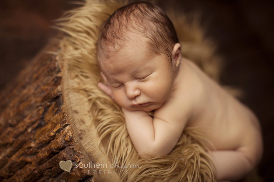 tennessee baby photographers