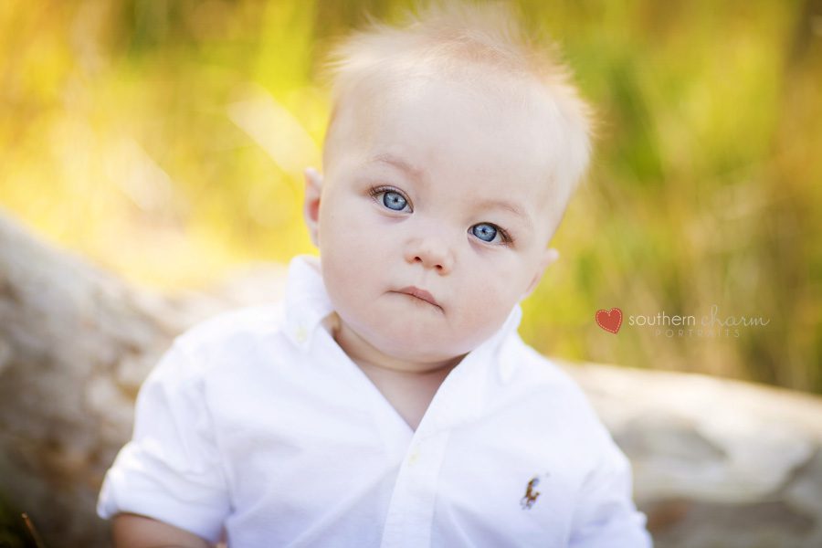 tennessee baby photographers
