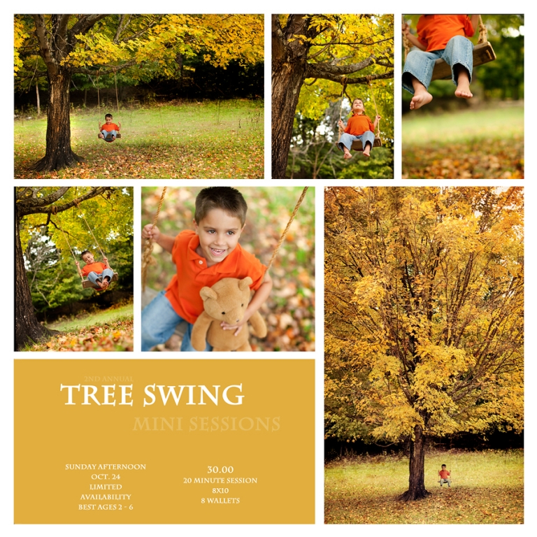 fun fall images of children playing in a tree swing, beautiful autumn colors,
