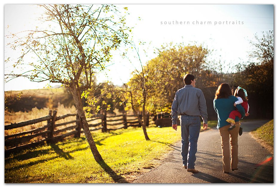 beautiful long driveway with trees and wooden fence horses barn family farm with lots of fun places to photograph