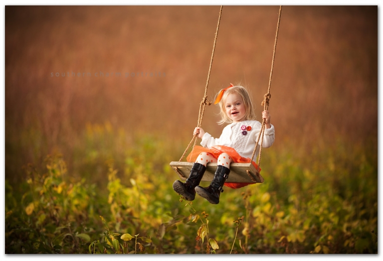 old fashioned tree swing made out of wood and rope tied to a huge tree in field