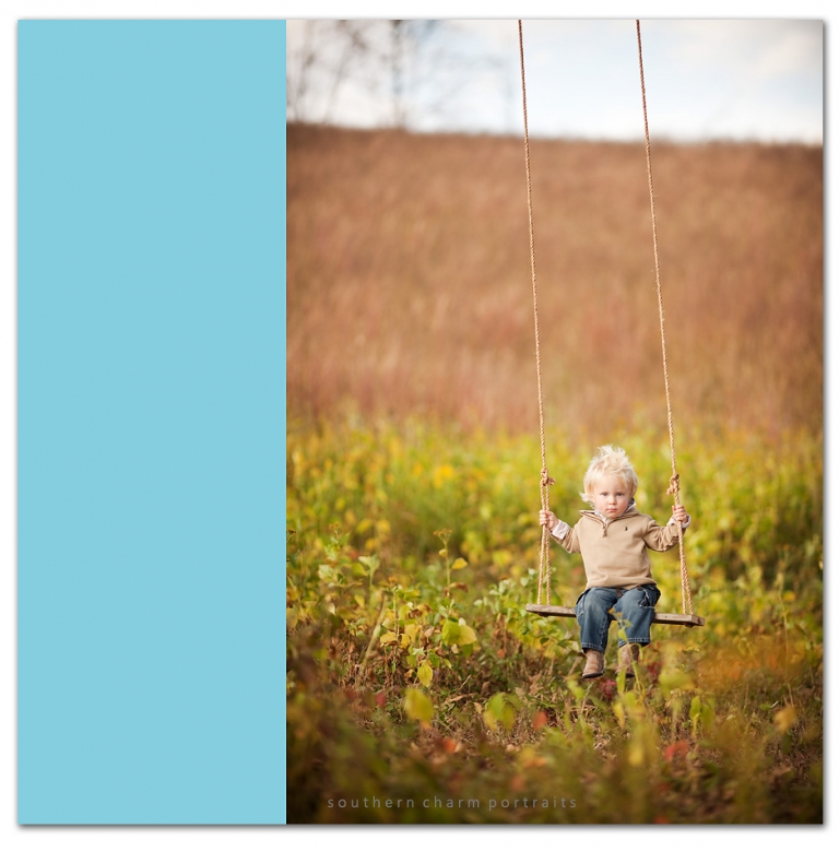 little brother with spiked hair in tree swing