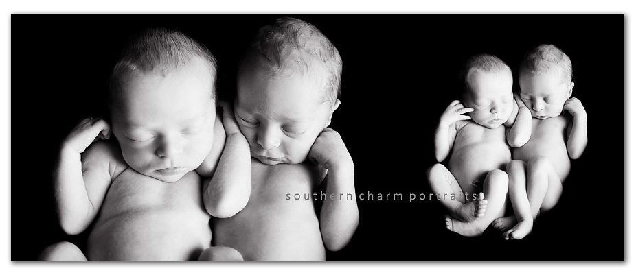newborn boys nestled together
