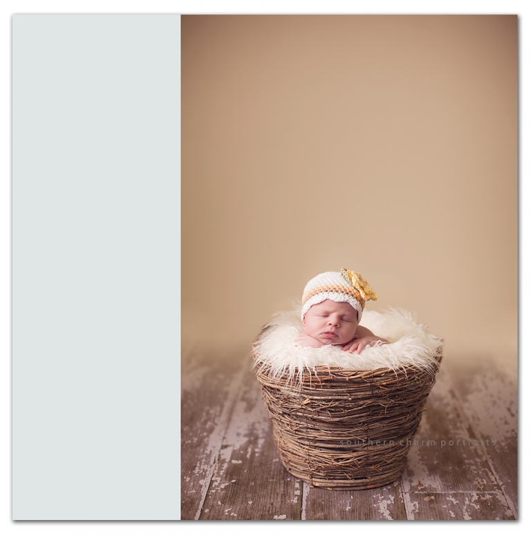 baby in hobbly lobby nest basket sleeping in the pose