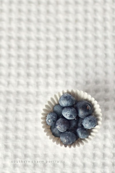 a cupcake paper full of wet blueberries sprinkled with sugar on top, taken by lafollette, tn photographer
