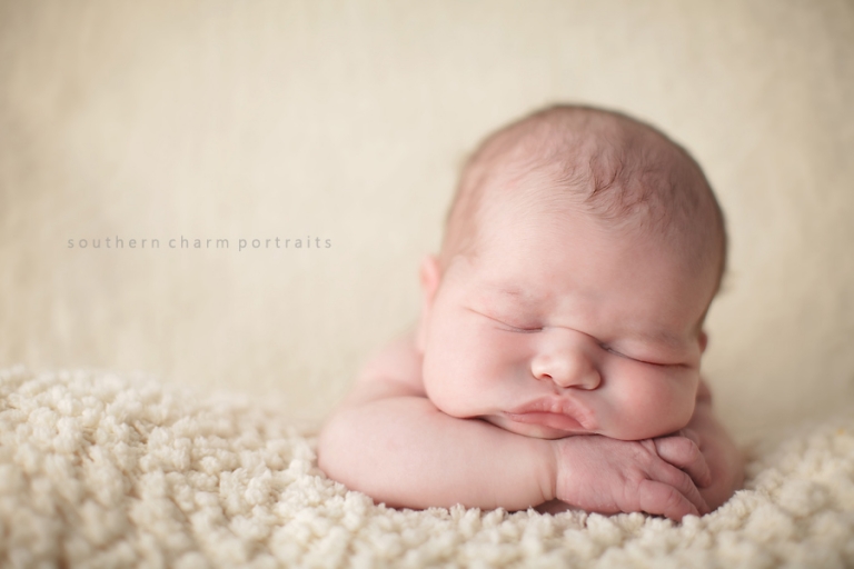 5 day old newborn baby in portrait studio