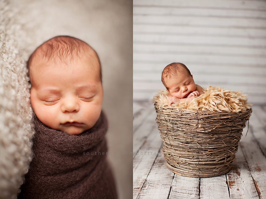 knoxville tn newborn photography