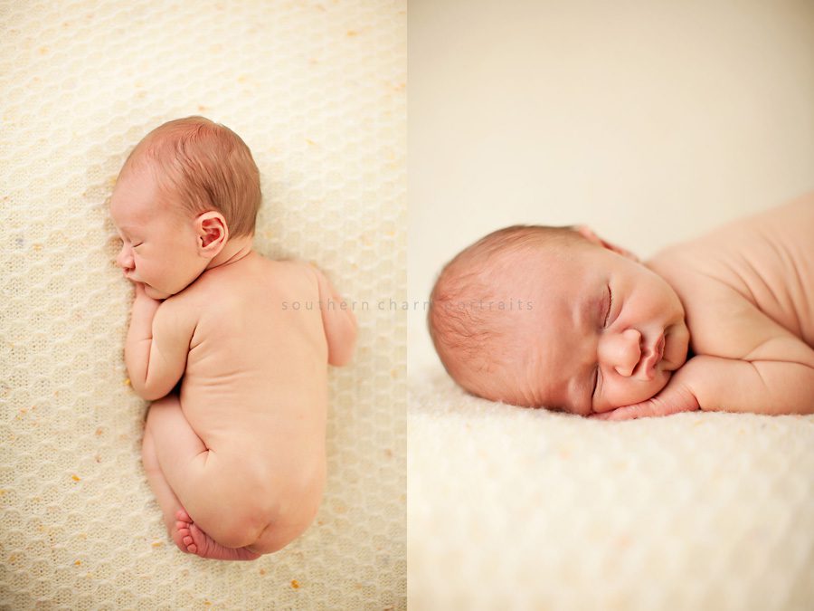baby portrait studio
