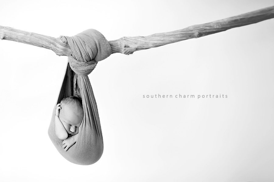 baby hanging in sling from tree branch sleeping