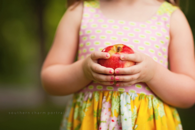 knoxville portrait studio photography