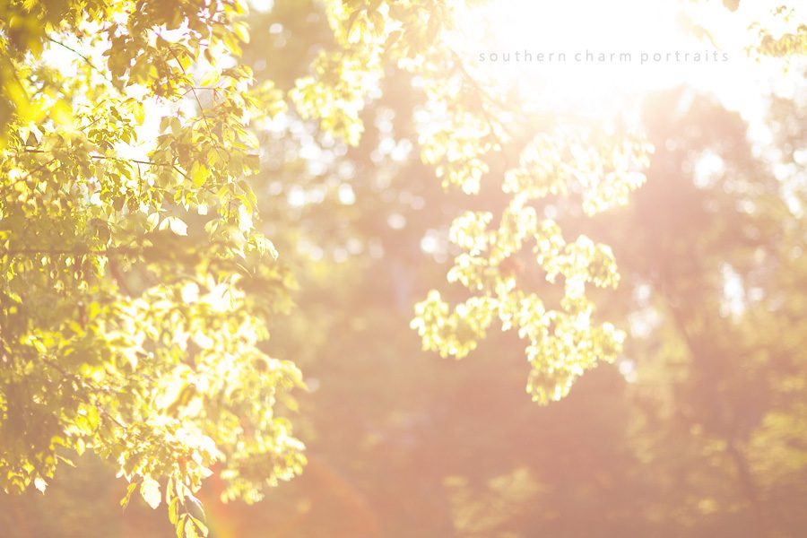 wedding photography knoxville