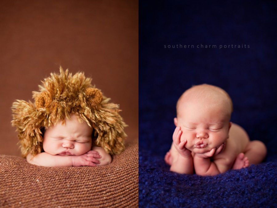 lafollette, tn photographer