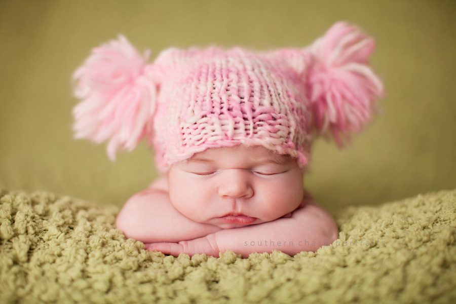 portraits for babies and families