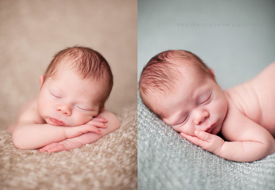 knoxville, tn baby photographer