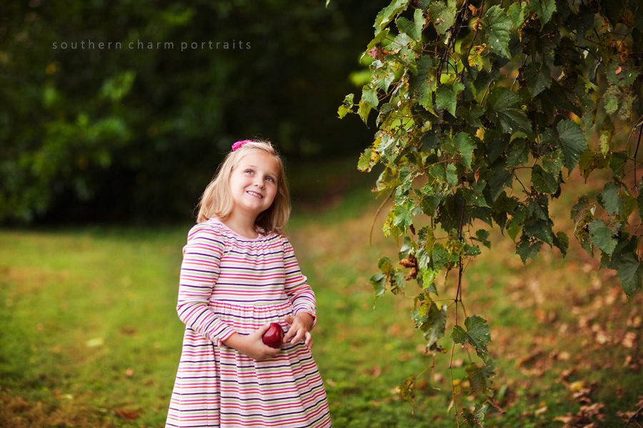 jacksboro, tn portraits