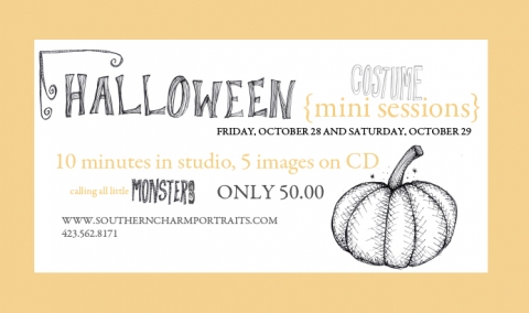 knoxville baby photographer