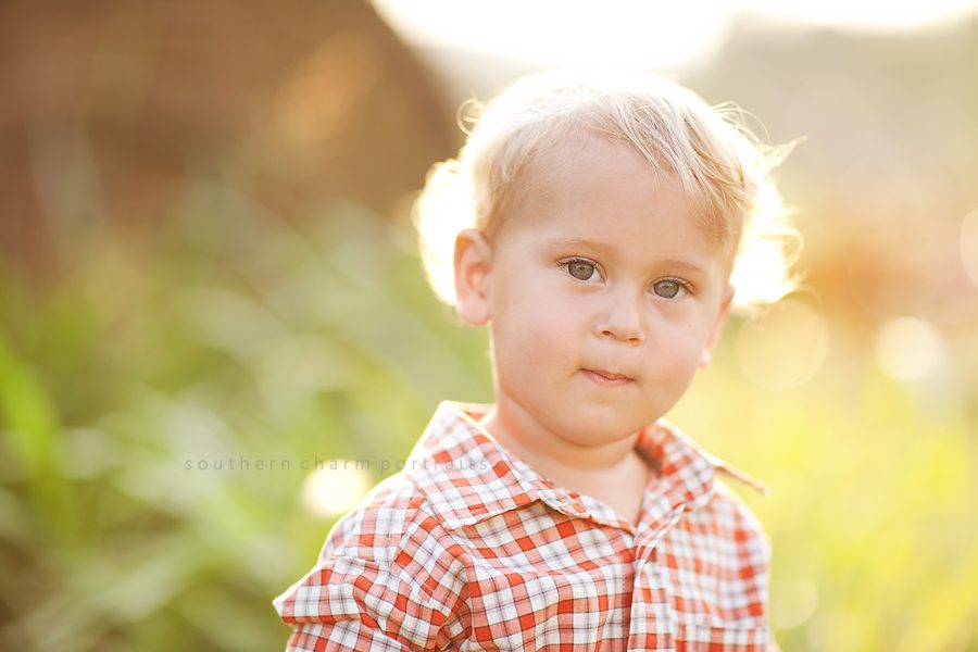 baby portraits in knoxville tn