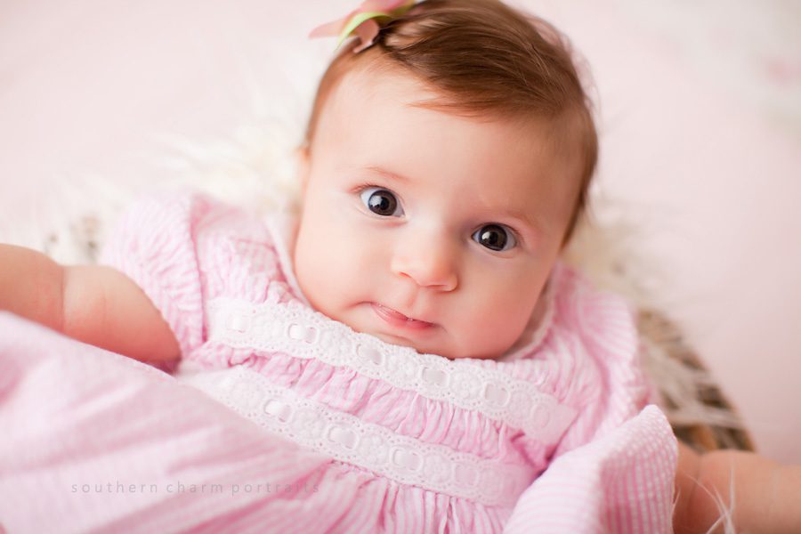 knoxville newborn photography