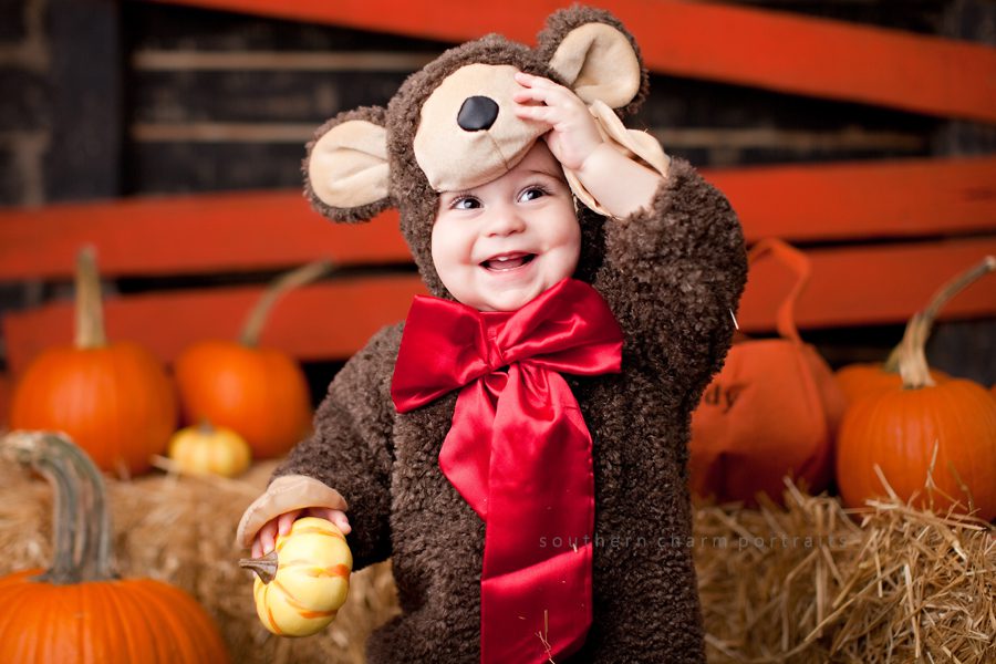 knoxville baby planner photographer