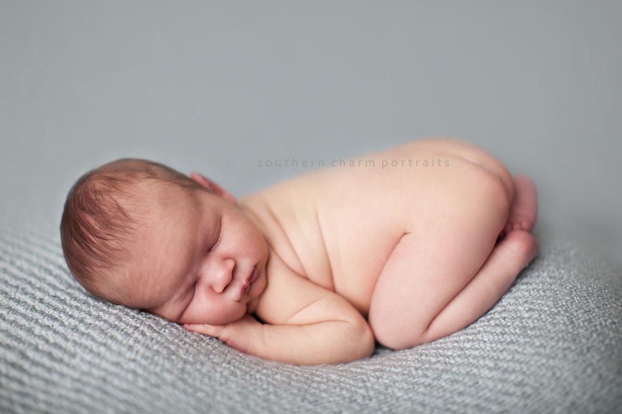 knoxville newborn photographer knoxville newborns portraits