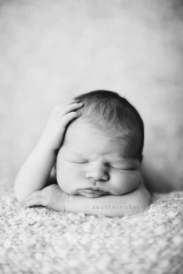 knoxville tn newborns knoxville tn photographer for newborns