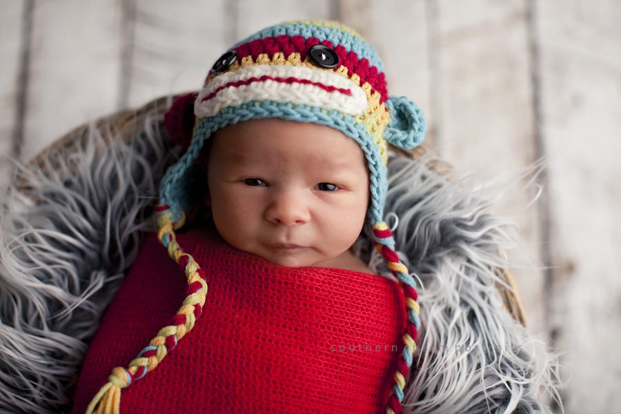 knoxville newborn portrait studio