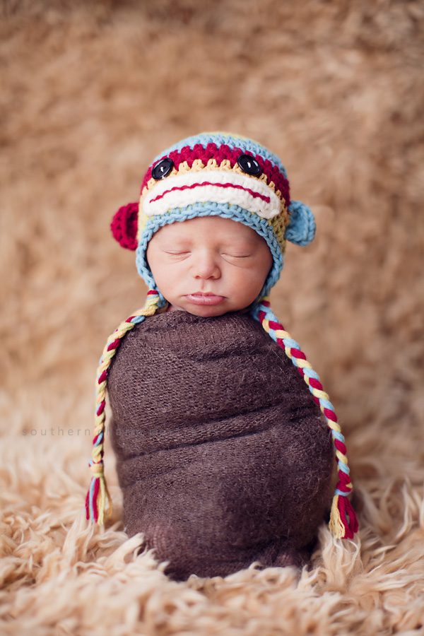 knoxville baby packages photography knoxville baby photographers