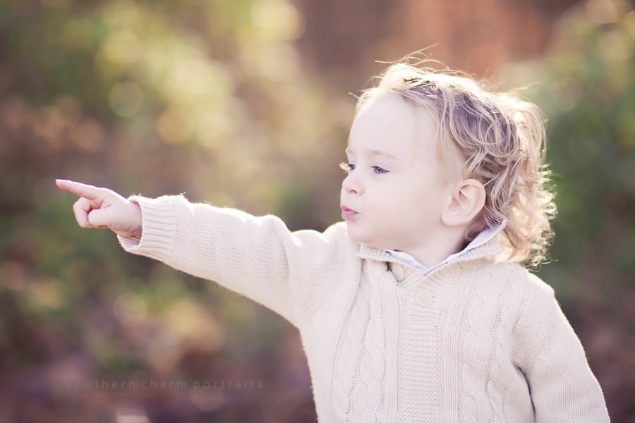 knoxville tn photographers