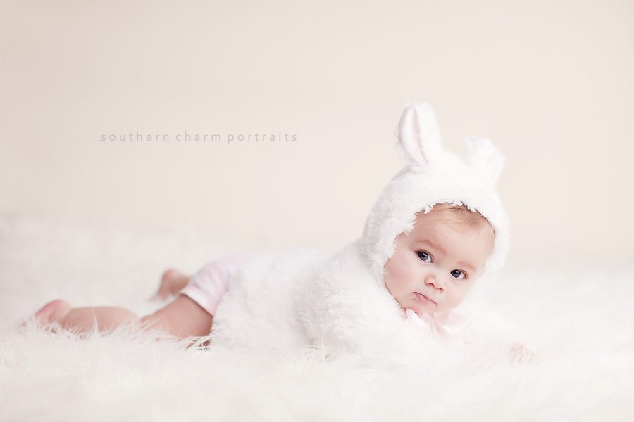 knoxville tn photographer