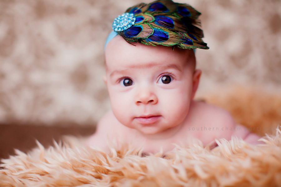 knoxville baby portraits