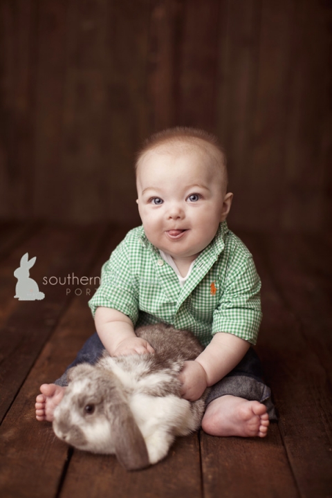 baby photographers in knoxville