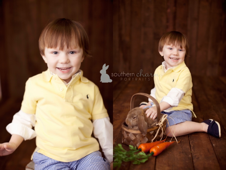 tn portrait studio