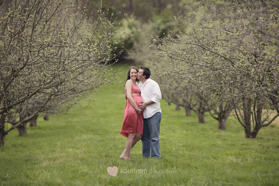 knoxville tn portraits for babies