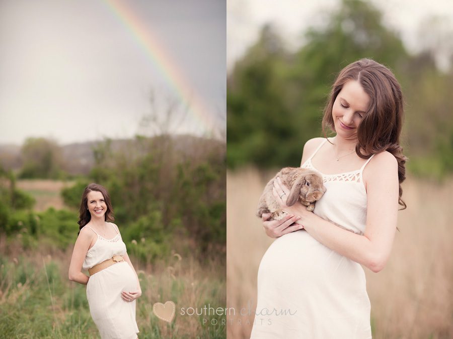maternity and newborn photographer in knoxville, tn