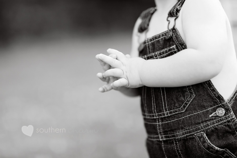 tn baby photographer