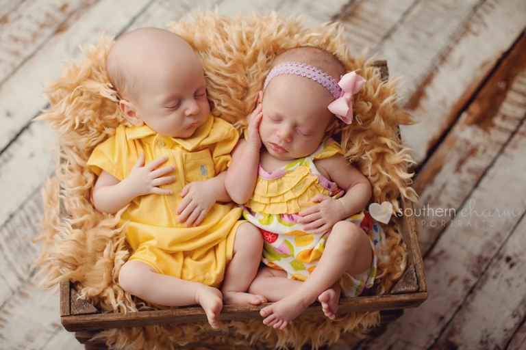 maternity and newborn photographer in knoxville, tn