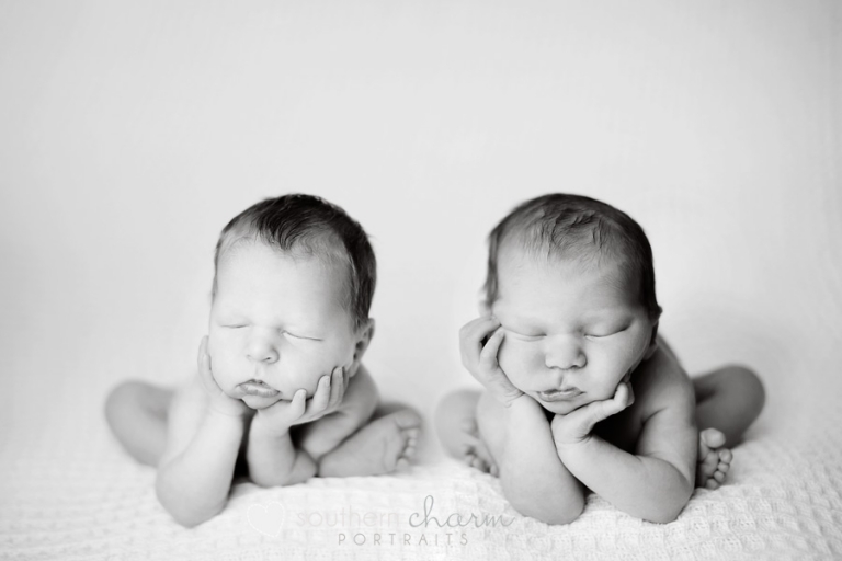 maternity and newborn photographer in knoxville, tn