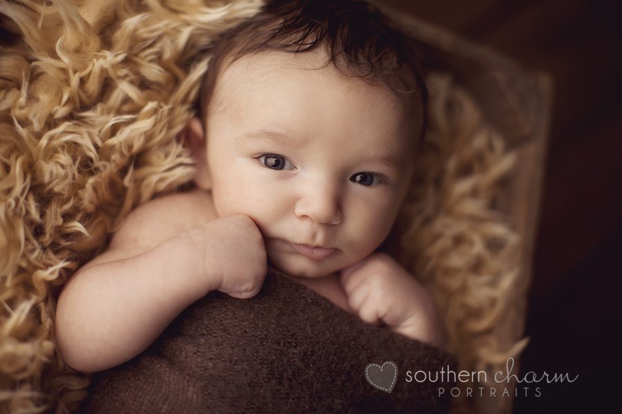 tennessee baby photographers