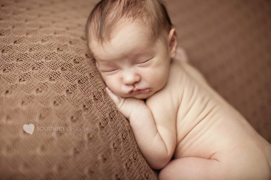 maternity and newborn photographer in knoxville, tn