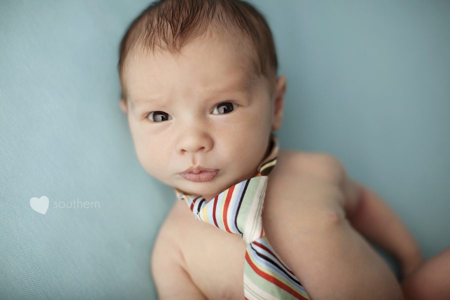 knoxville newborn photographer