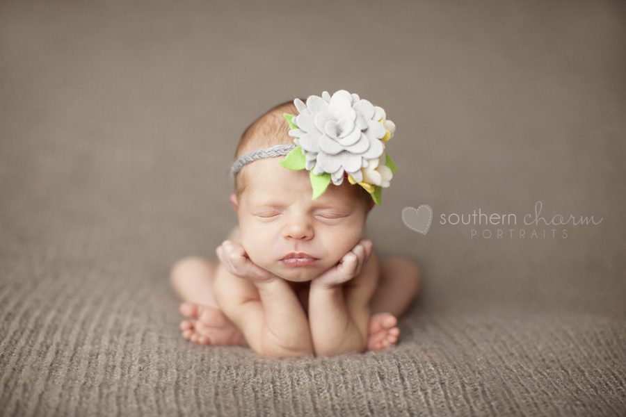 baby portraits in knoxville tn
