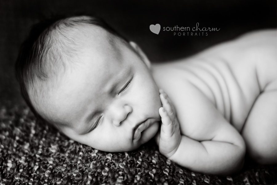 knoxville tn portraits for babies